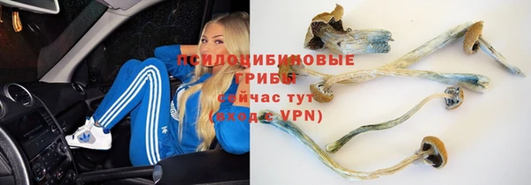 прущие крисы Няндома
