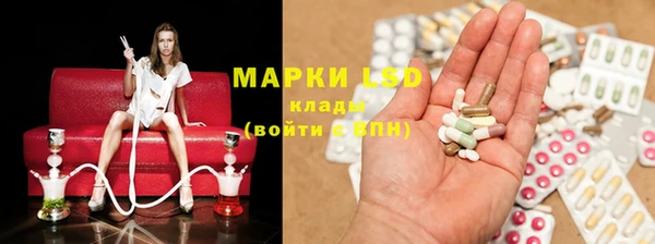 spice Осинники