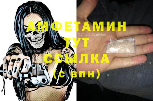 шишки Осташков