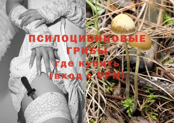 spice Осинники