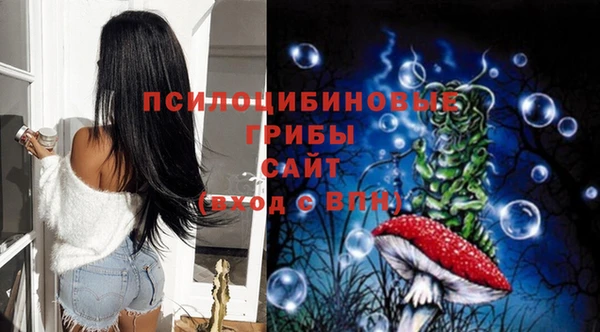 прущие крисы Няндома