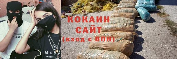 прущие крисы Няндома