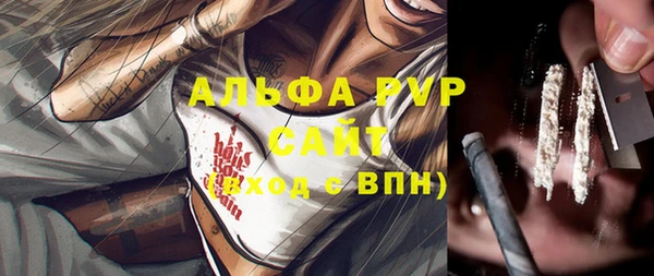 spice Осинники
