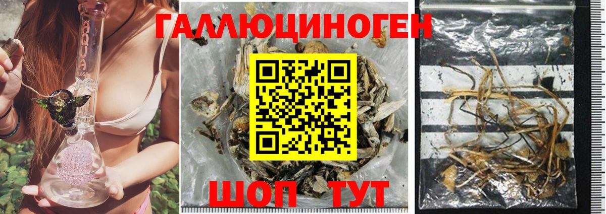 Псилоцибиновые грибы мухоморы  Вход с VPN  Калуга 